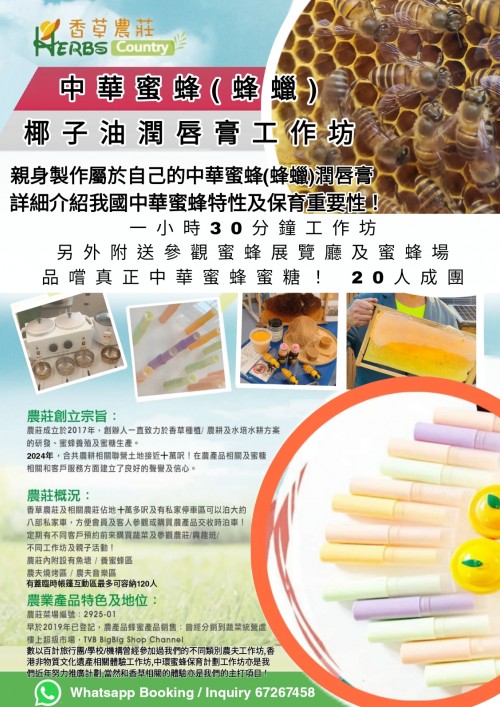No 904 中華蜜蜂蜂蠟椰子油潤唇膏製作工作坊 預約Booking>>>